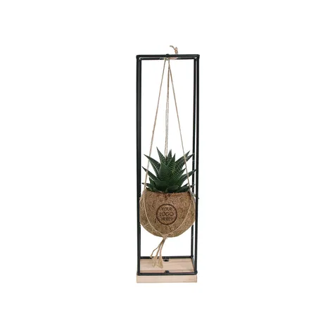 Kokodama® - Hanging easy care mix (S)